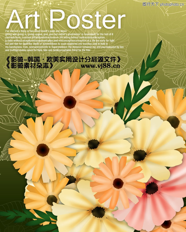 菊花用英文怎末翻译-雪中的菊花的英文?就是翻