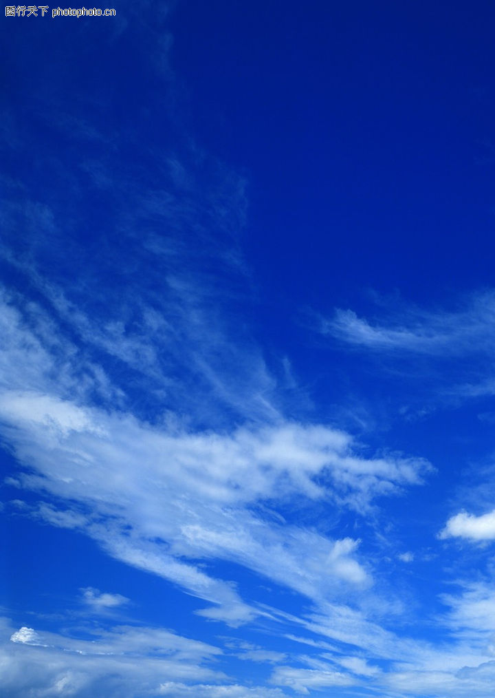 0060080313.jpg