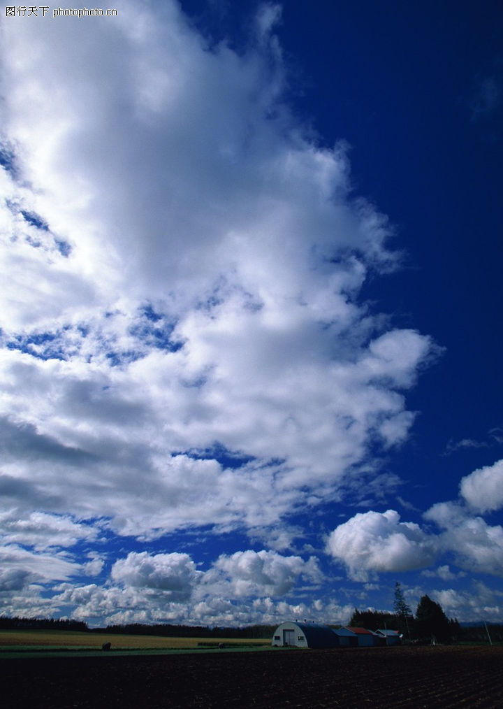 0060080320.jpg