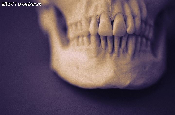 医学解剖0066-医学解剖图-医学医药图库-人头牙齿结构