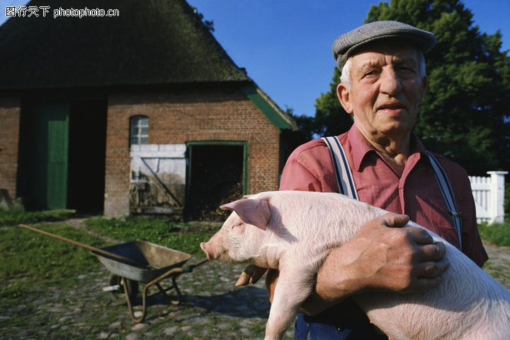 国外农场,农业,老头+拥抱