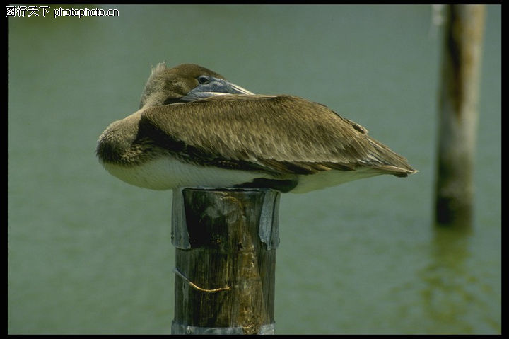 盘曲_盘曲而上的意思_考察的意思 - krystal