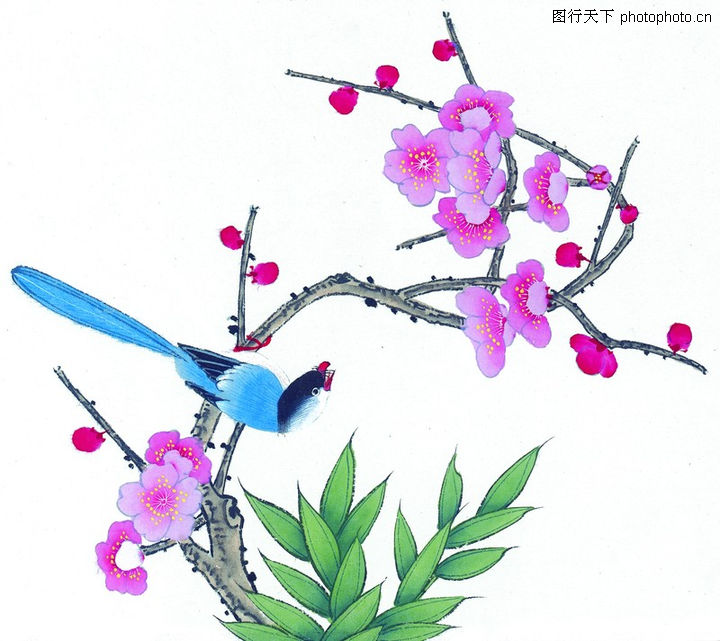 中国图片,梅花