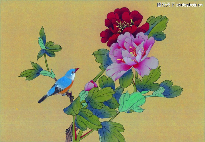 花鸟国画,中国图片,牡丹