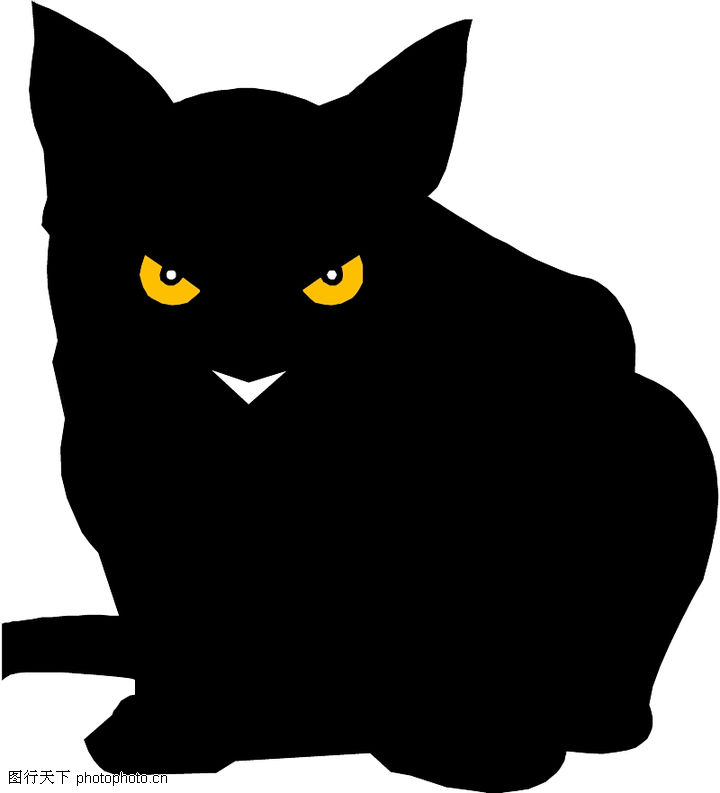 稀动物0034-珍稀动物图-动物图库-黑猫 诡异眼
