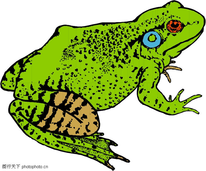 益虫,两栖爬行0018