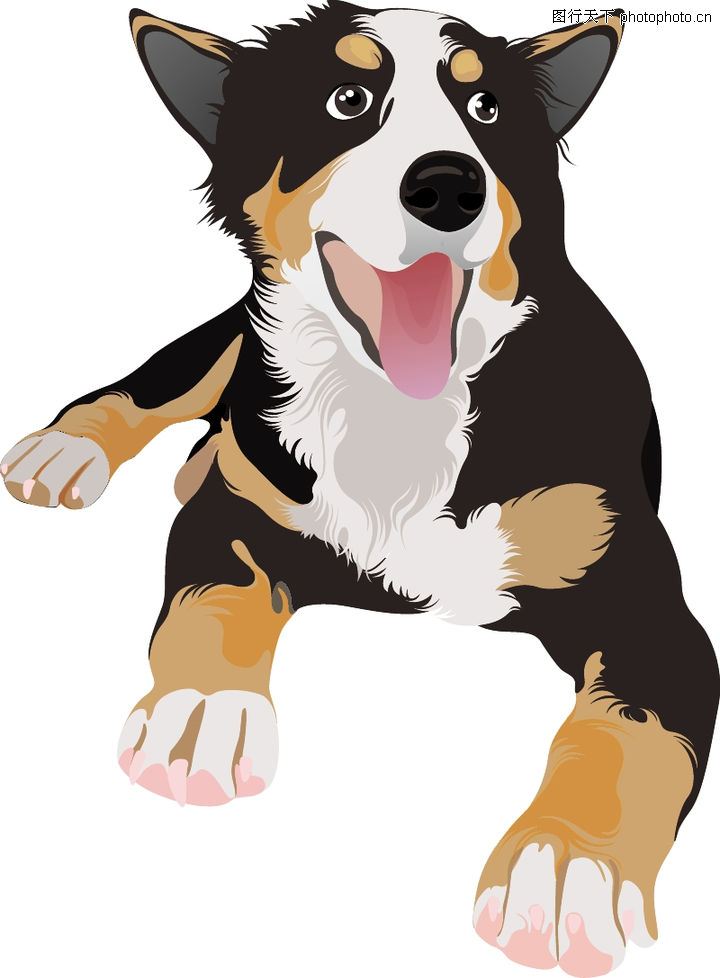 动物插图0193-动物插图图-动物图库-尖耳朵 红