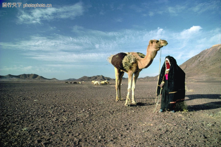 埃及之旅0136-埃及之旅图-旅游风光图库-沙漠