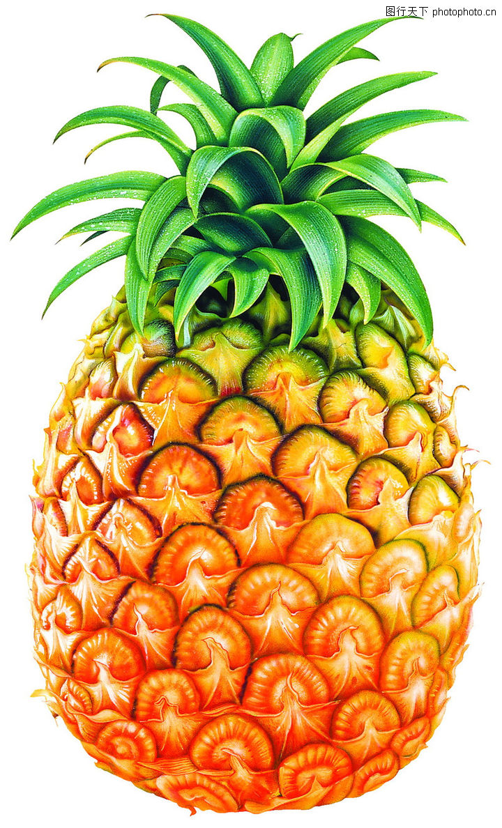 素材瓜果0273-素材瓜果图-农业图库-菠萝 纹理