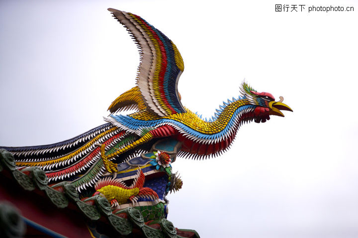中国风0034-中国风图-中国传统图库-凤凰 彩鸟