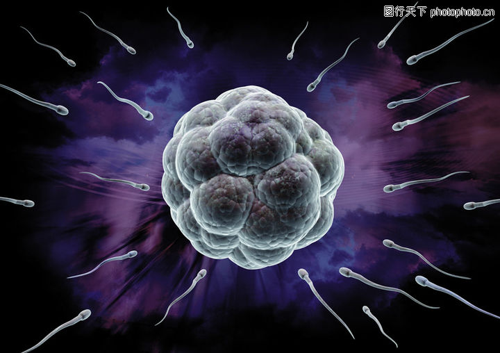 生化科技0024-生化科技图-医疗图库-卵子 精子
