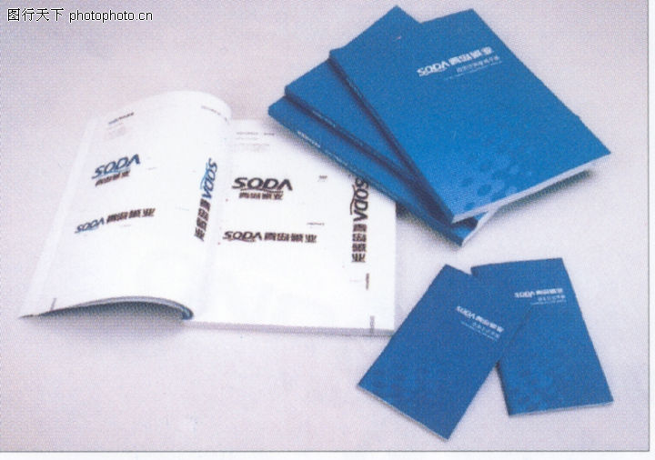 青岛碱业-002-化工能源图-中国品牌年鉴2004图