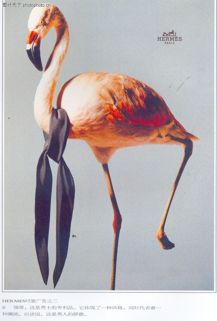 服装内衣广告创意0095