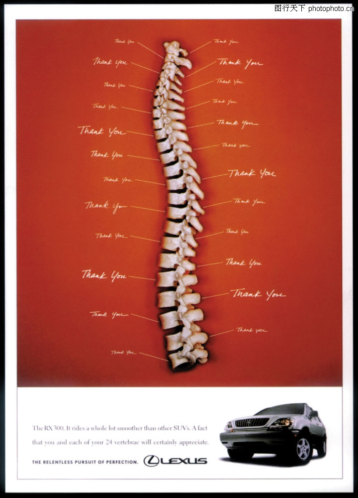 广告经典作品,脊椎骨