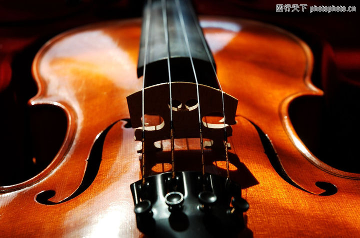 小提琴0004-小提琴图-静物系列图库-琴枕四弦