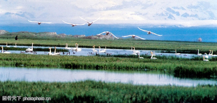 旅游圣地图 1010070593.jpg