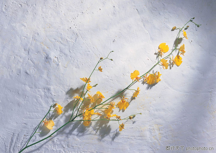 花艺摆设0008-花艺摆设图-风景图库-黄色 小花