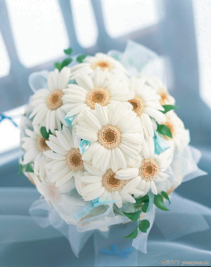 花艺摆设0126-花艺摆设图-风景图库