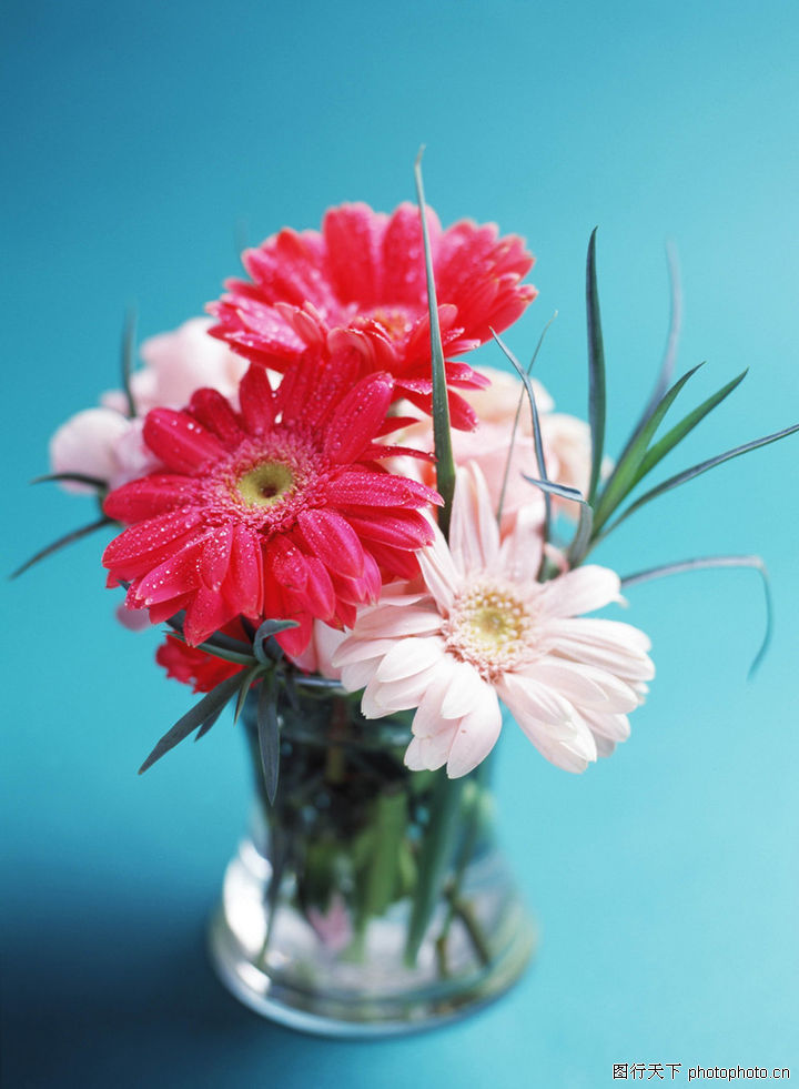 花艺摆设0285-花艺摆设图-风景图库