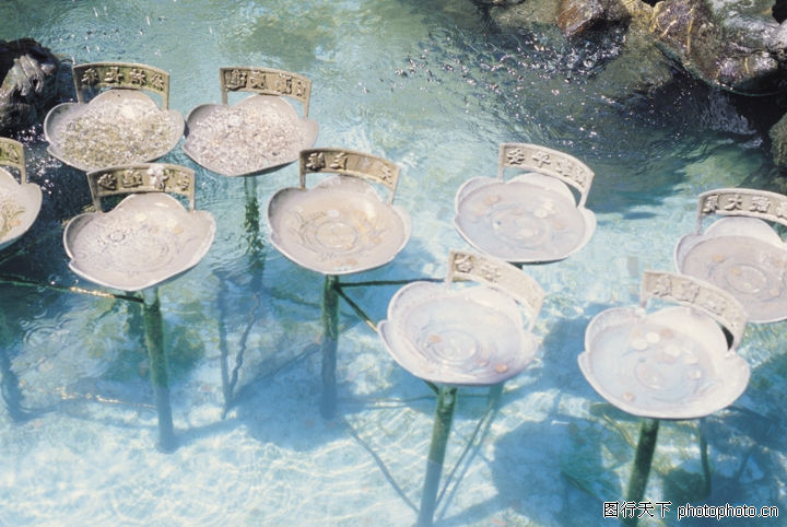 宗教信仰0039-宗教信仰图-文化图库-莲花池