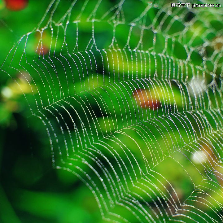 特写_特写逼_<em>人ti</em>艺术私阴特写照片_特写图片