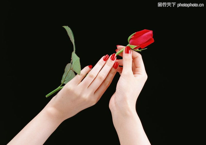 生活中的手0173-生活中的手图-创意概念图库-