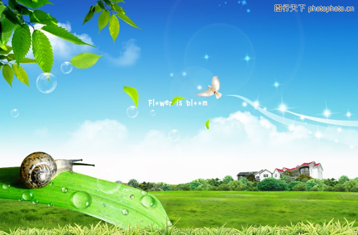 创意非凡0189-创意非凡图-日韩盛典图库-白鸽