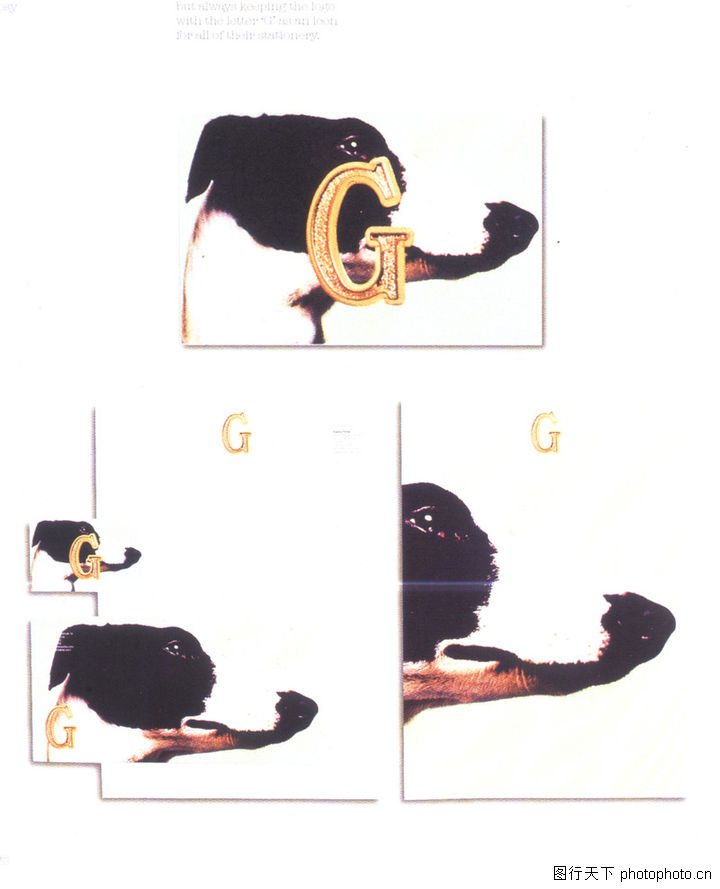 商业名片创意设计0172-商业名片创意设计图-2