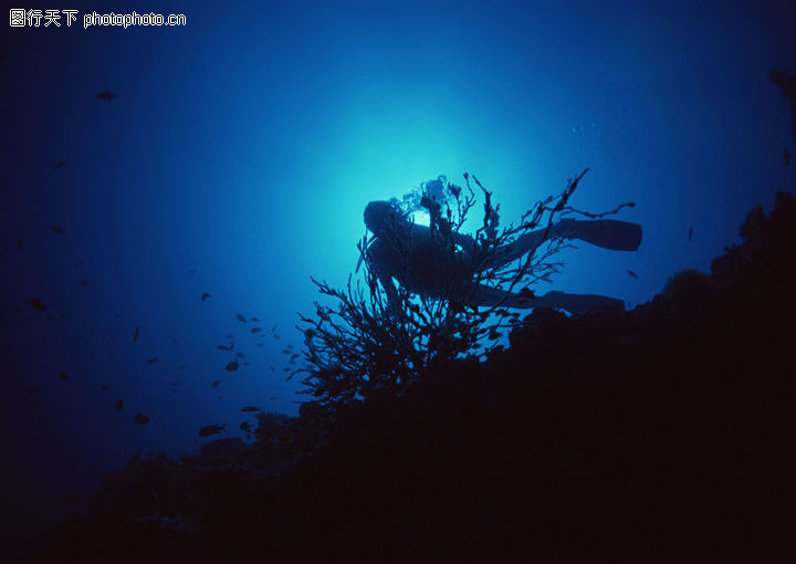 玩0035-深海潜玩图-自然风景图库-海底 探险员
