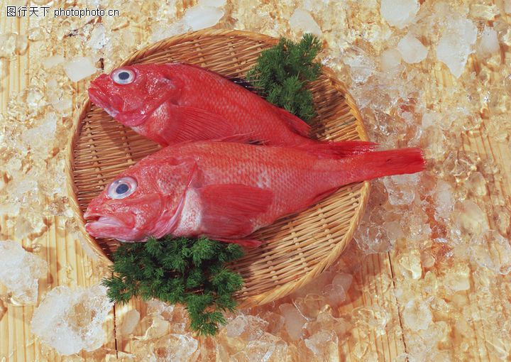新鲜渔获0079-新鲜渔获图-饮食水果图库-荤菜