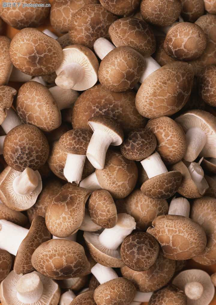 新鲜蔬菜,饮食水果,香菇