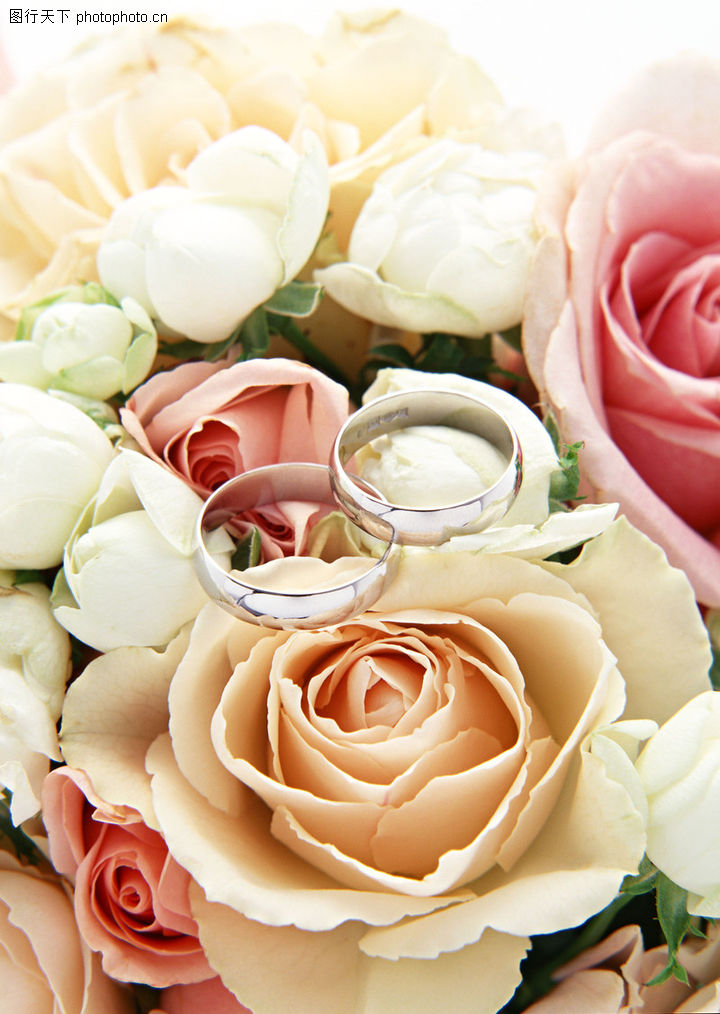 婚礼0147-婚礼图-节日物语图库-鲜花与婚戒
