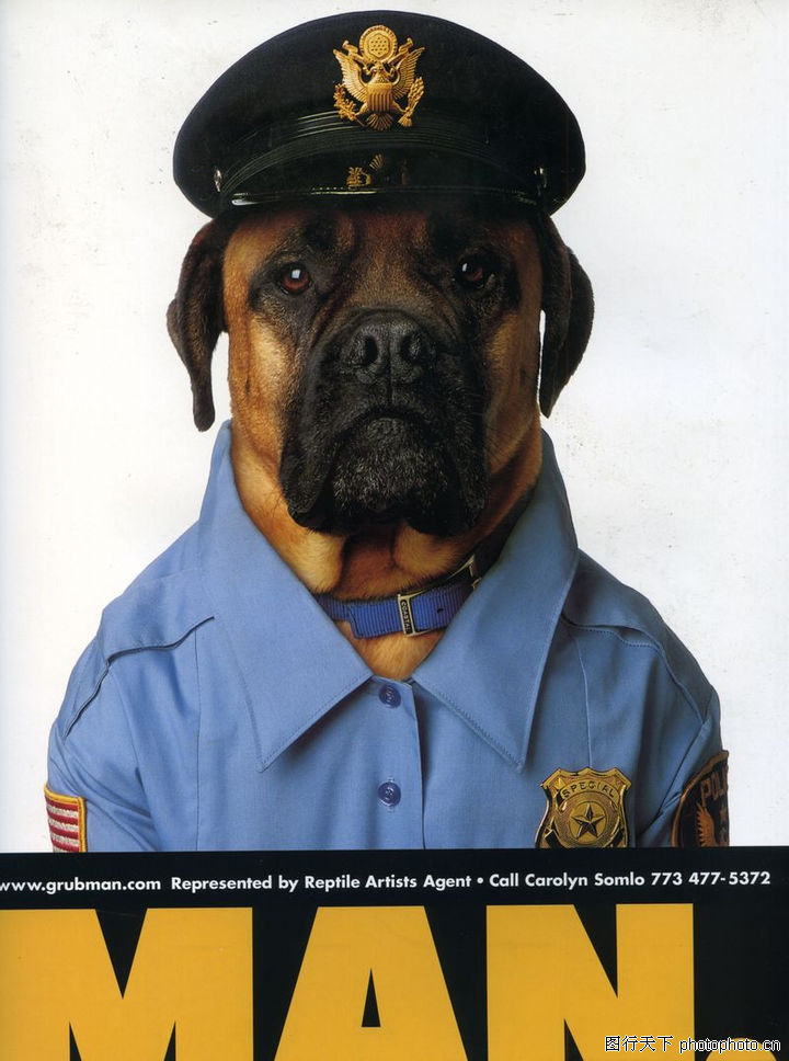 -动物创意图-广告创意图库-创意动物狗狗警察幽