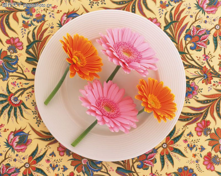 餐桌花艺0073-餐桌花艺图-生活图库