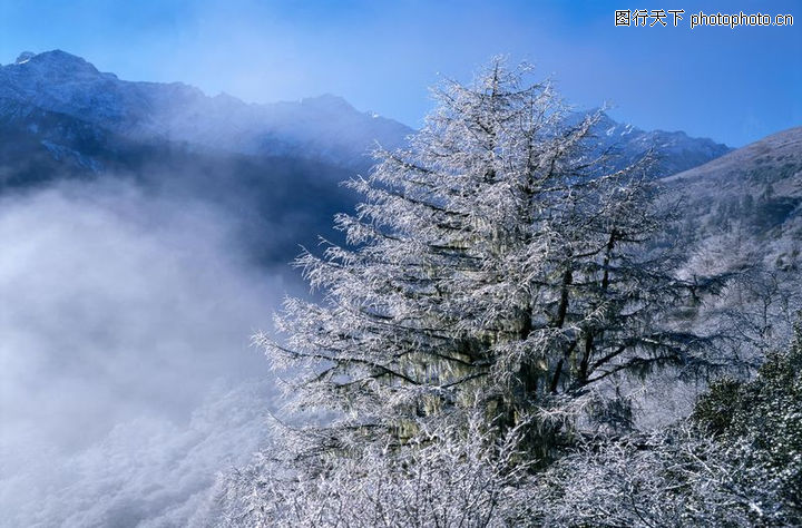 冬天雪景图片