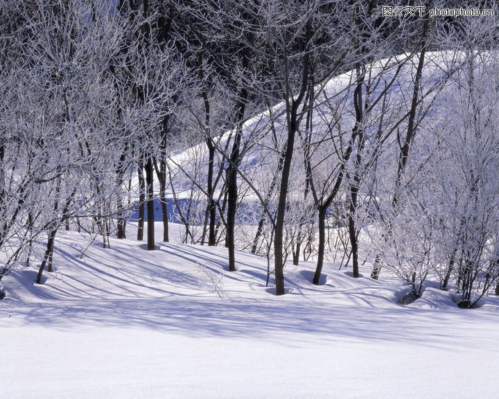 冬天雪景图片