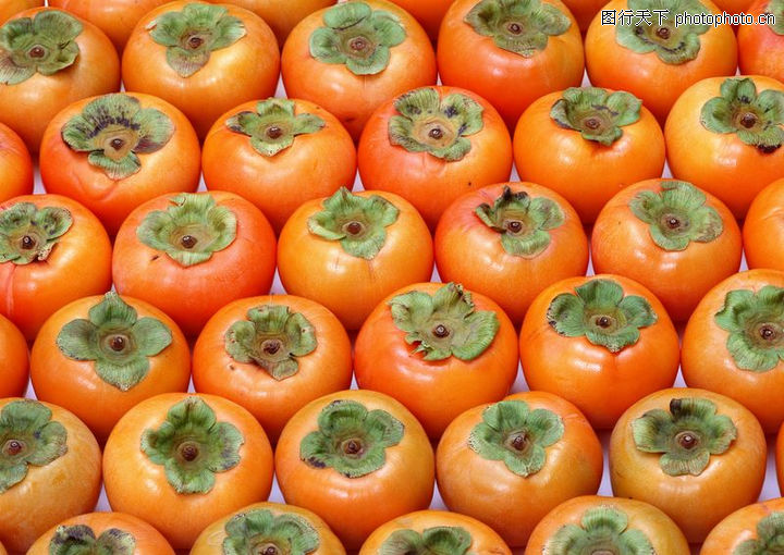 现在可以种什么蔬菜水果 1290370171.jpg